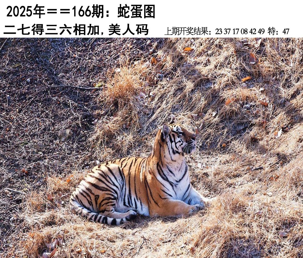 图片更新中......